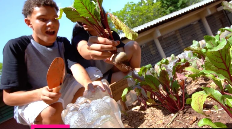 Imagem representando a campanha Futura - Ciência para todos